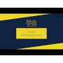 Masterwatt Strong infraroodpaneel | 350 Watt | met RF-ontvanger | 600 x 600 mm